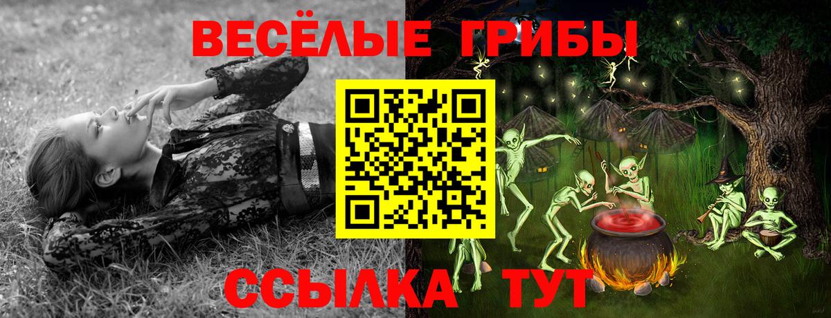 Королёв  Галлюциногенные грибы ЛСД  Вход с VPN  Псилоцибиновые грибы ЛСД 